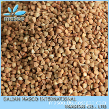 Buy 2013 Cooking buckwheat grain kernel/roasted buckwheat kernel